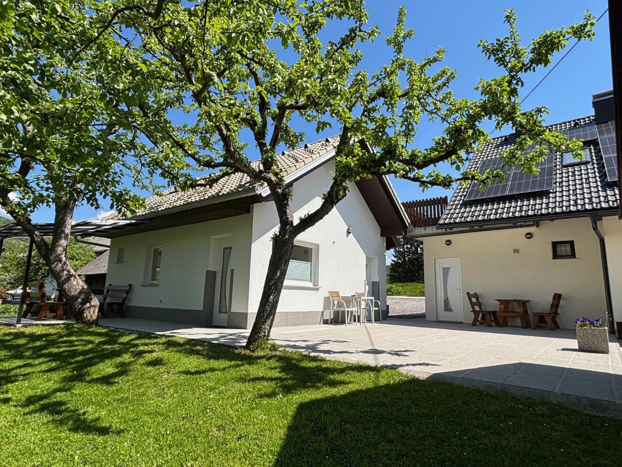 Jack'S Apartments 布莱德 外观 照片